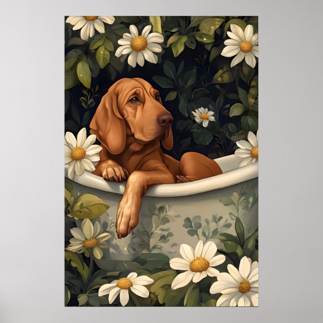 Bloodhound In Bathtub Poster, Funny Dog Poster (Frente)
