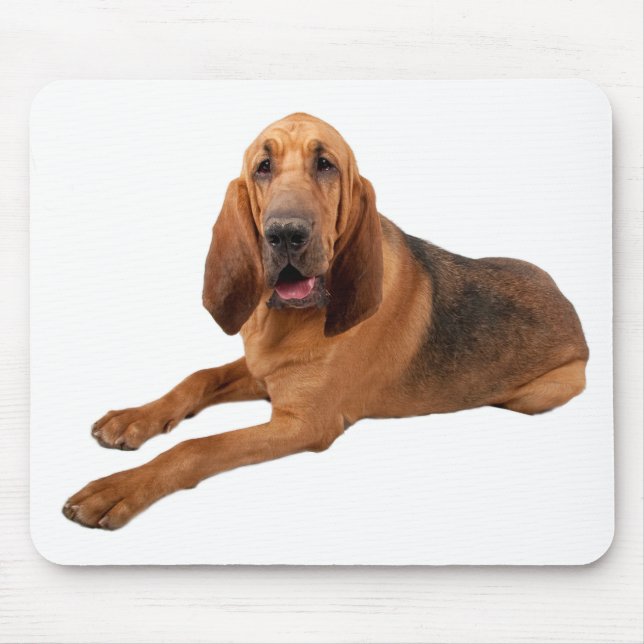 Bloodhound Puppy Dogs Rule Mousepad (Frente)