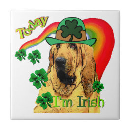 Bloodhound st Patricks