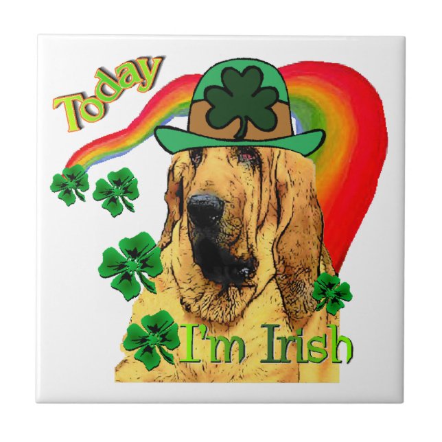 Bloodhound st Patricks (Frente)