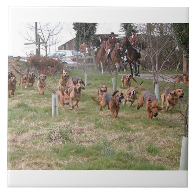 bloodhounds working.png (Frente)