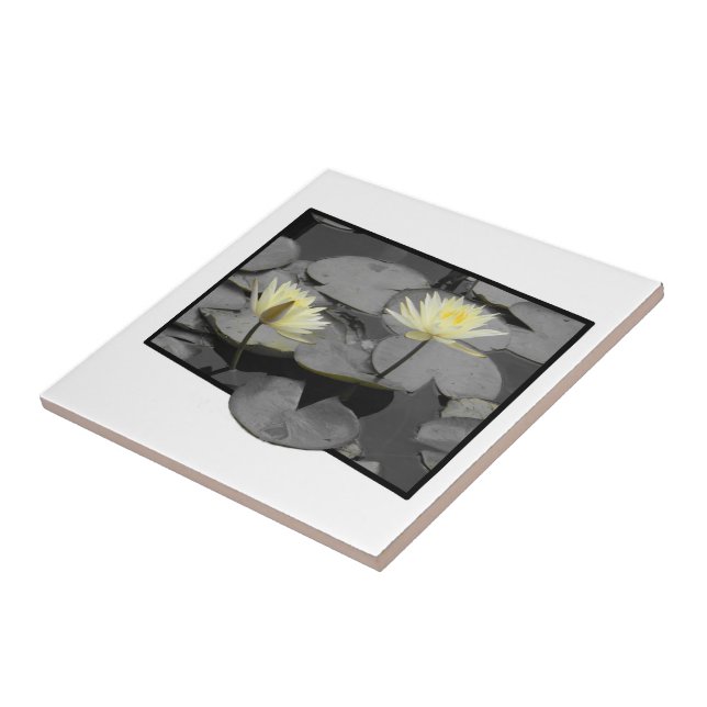 Bloom além do quadro (Lateral)