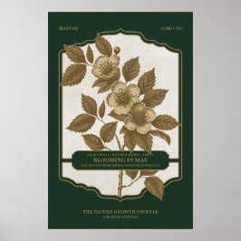 BLOOM MENSAL - POSTER DO PRESENTE DO FLOR DO NASCI