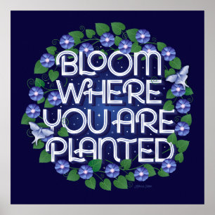 Bloom Onde Está Plantado Poster Quadrado (24x24)