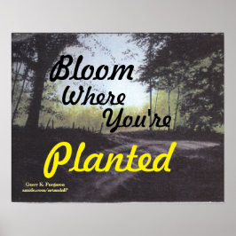 "BLOOM ONDE VOCÊ ESTÁ PLANTADO" POSTER