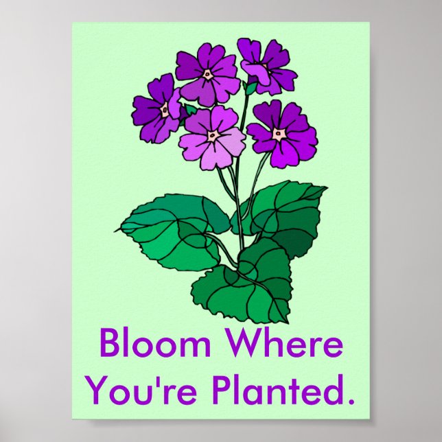 Bloom onde você está plantado Poster (Frente)