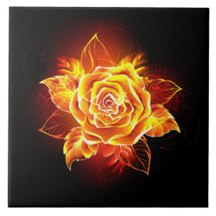 Blooming Fire Rosa