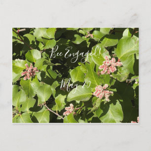BloomingCalifornia: Bee Envolvido! Cartão Postal