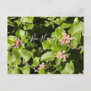 BloomingCalifornia: Bee Happy! Cartão Postal