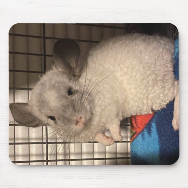 Bloqueado "Curly" Chinchilla Mousepad (Frente)