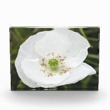 Bloqueio fotográfico com flores