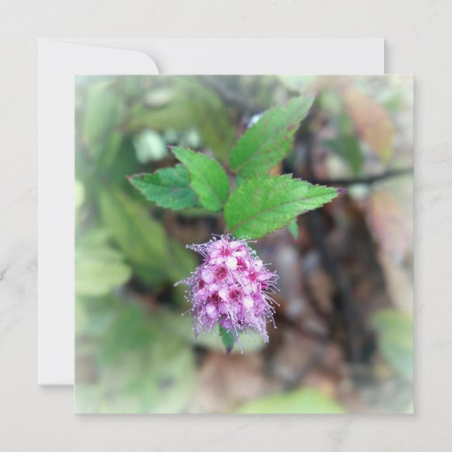 Bloqueio no outono (Frente)