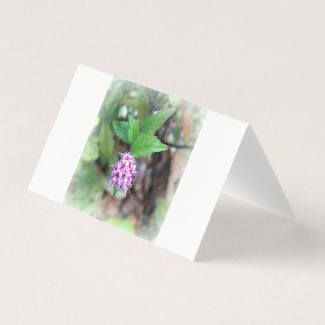 Bloqueio no outono (Frente)