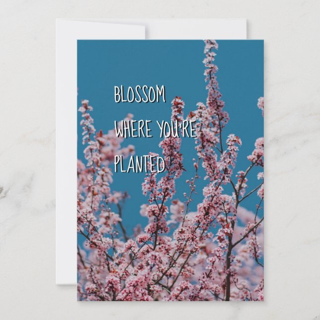 BLOSSOM ONDE PLANTADO | Encorajamento cristão (Frente)