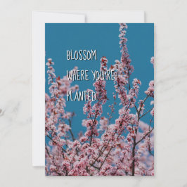 BLOSSOM ONDE PLANTADO | Encorajamento cristão