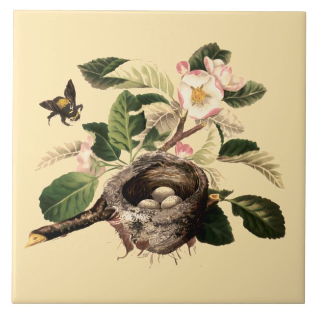 Blossomas de Maçã e Ninho de Pássaro (Frente)