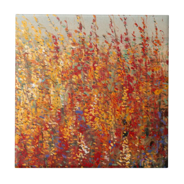 Blossomas do Alto Deserto II (Frente)