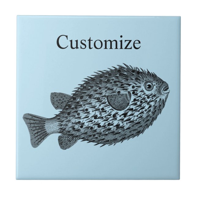 Blowfish Porcupine Thunder_Cove (Frente)
