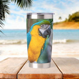 Blue-and-Yellow Macaw