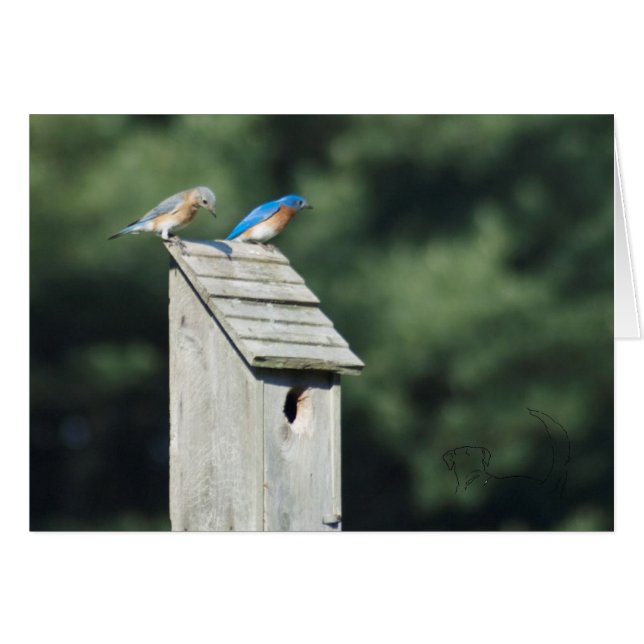 Blue Bird House, Cartão (Frente horizontal)