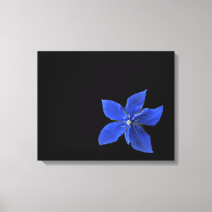 Blue Clematis na Canvas preta