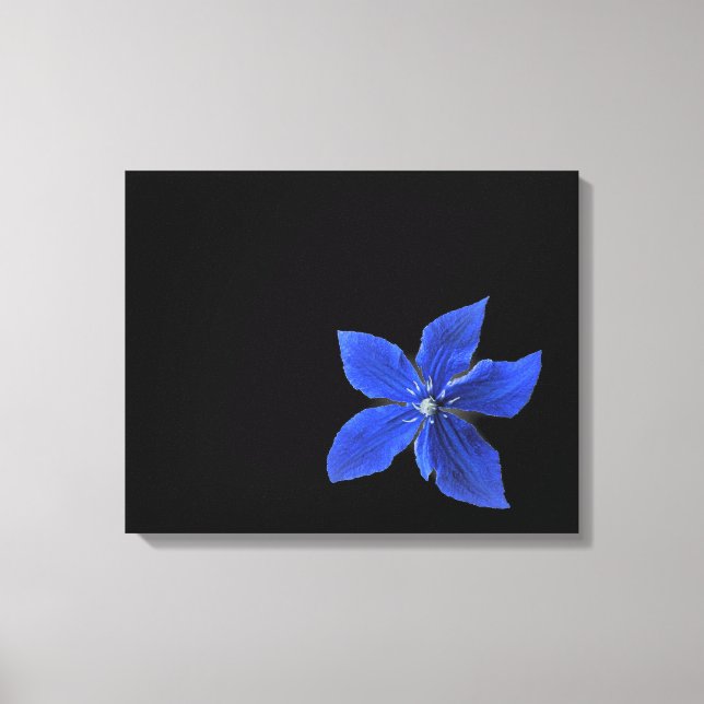 Blue Clematis na Canvas preta (Frente)