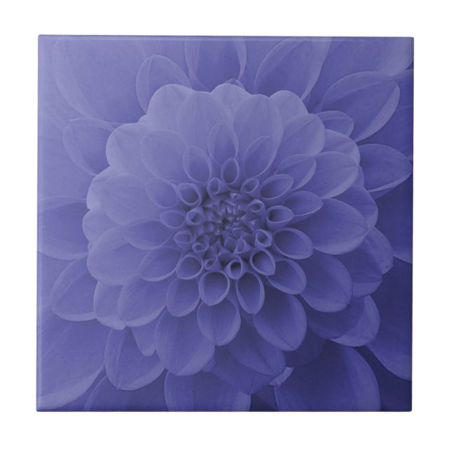 Blue Dahlia (Frente)