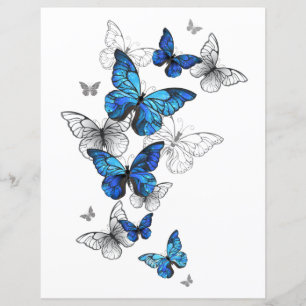 Blue Flying Butterflies Morpho