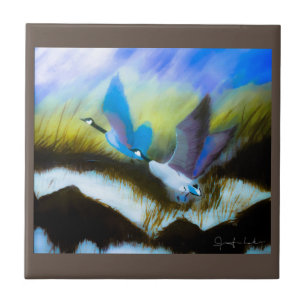 Blue Geese