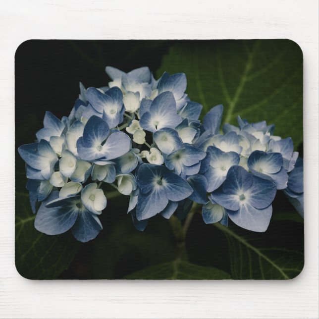 Blue Hydrangea 8514 Mousepad (Frente)