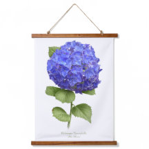 Blue Hydrangea "Blue Heaven" Arte Botânica Floral