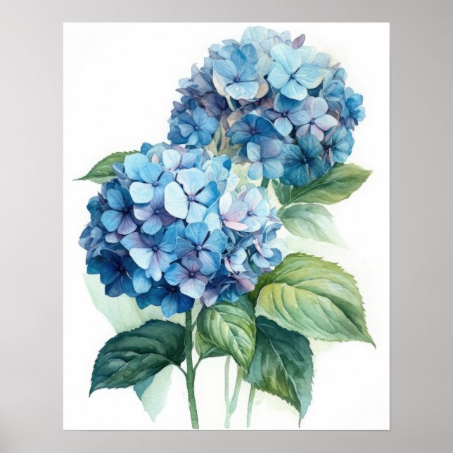 Blue Hydrangea Flowers Art Impressão Poster (Frente)