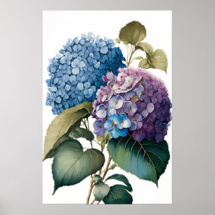 Blue Hydrangea Flowers Art Impressão Poster