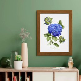 Blue Hydrangea Original Art Impressão