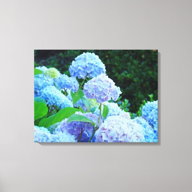 Blue Hydrangeas Floral Canvas Impressões Personali (Frente)