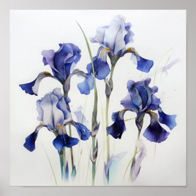 Blue Iriss Flower Art Impressão Poster (Frente)
