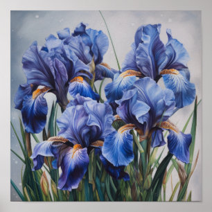 Blue Iriss Flower Art Impressão Poster