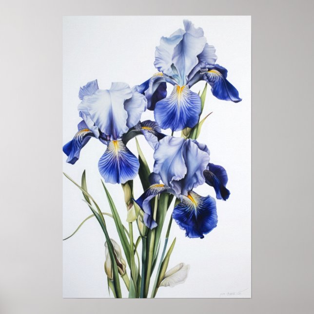 Blue Iriss Flower Art Impressão Poster (Frente)