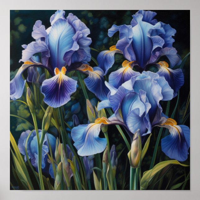 Blue Iriss Flower Art Impressão Poster (Frente)