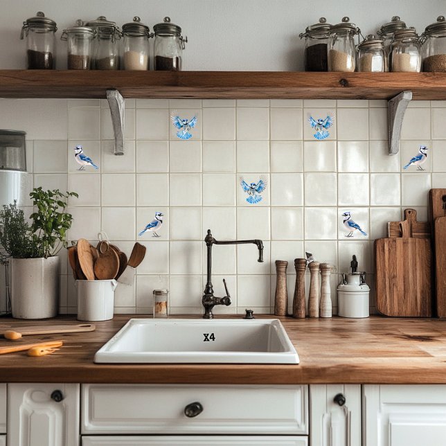 Blue Jay (Criador carregado)