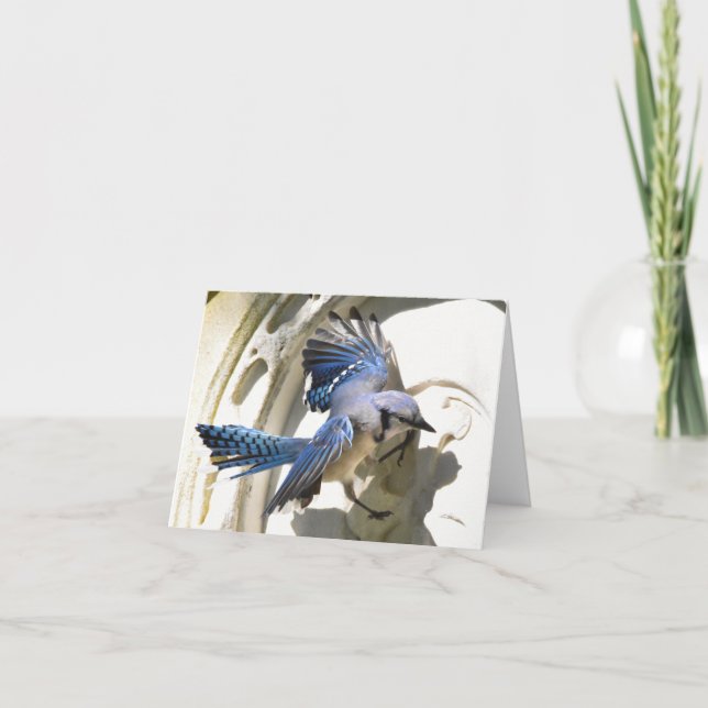 Blue Jay #3 - Cartão de Nota do Vazio (Frente)