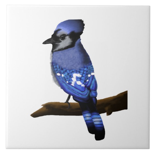 Blue Jay Art   (Frente)