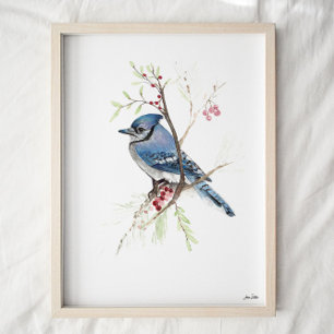 Blue Jay Bird Impressão