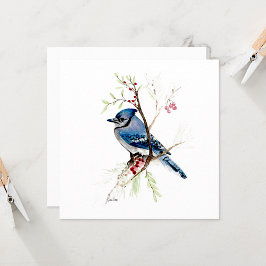 Blue Jay Bird Watercolor