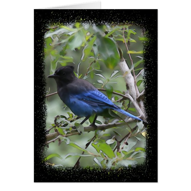 Blue Jay - Cartão de arte de 5" x 7" (Frente)