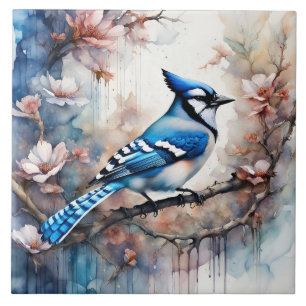 Blue Jay Cherry Blossoms aquarela