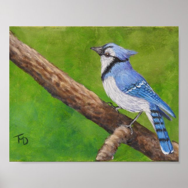 Blue Jay - Poster (Frente)