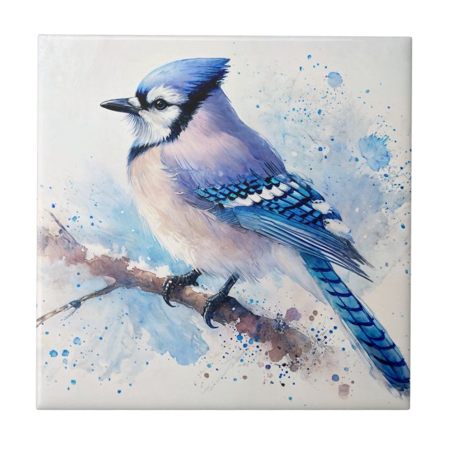 Blue Jay Watercolor Art (Frente)
