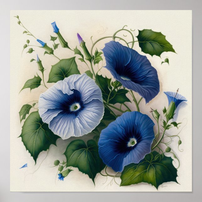 Blue Morning Glory Flowers Art Impressão (Frente)