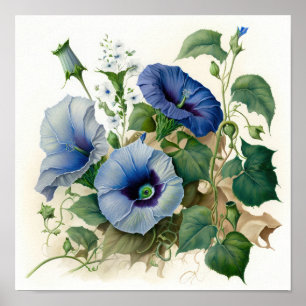 Blue Morning Glory Flowers Art Impressão